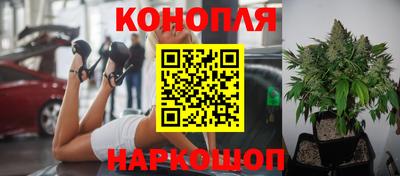 эйфоретик Бугуруслан