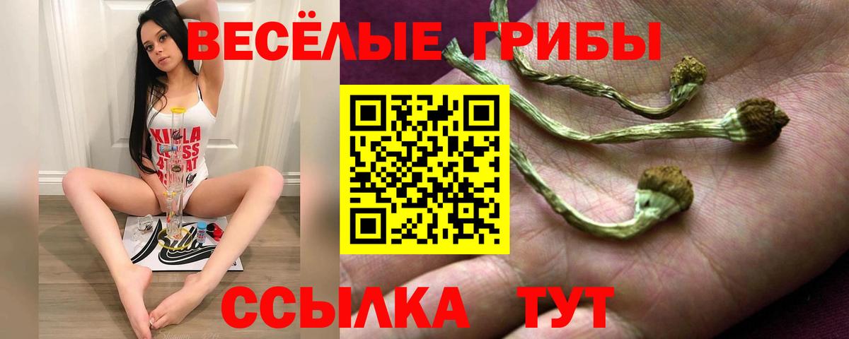 Первоуральск  Псилоцибиновые грибы Psilocybine cubensis  Галлюциногенные грибы Magic Shrooms  Вход с VPN 